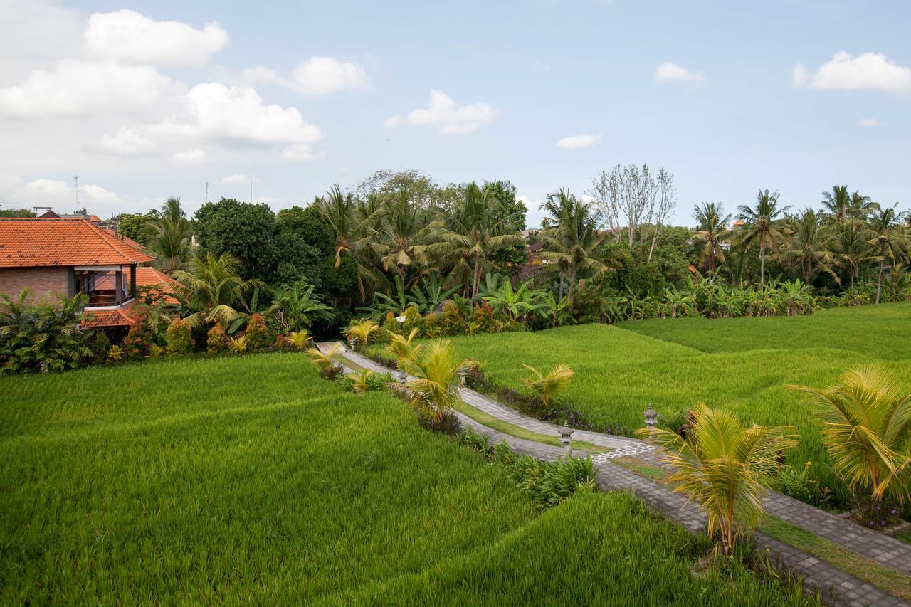 Kama Bisma Cottage Ubud Buitenkant foto